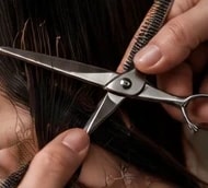 Scissors cutting a section of hair