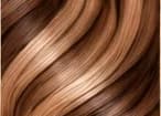Solar Glow hair reference