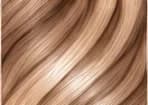 Coastal Honey hair reference