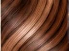 Autumn hair reference
